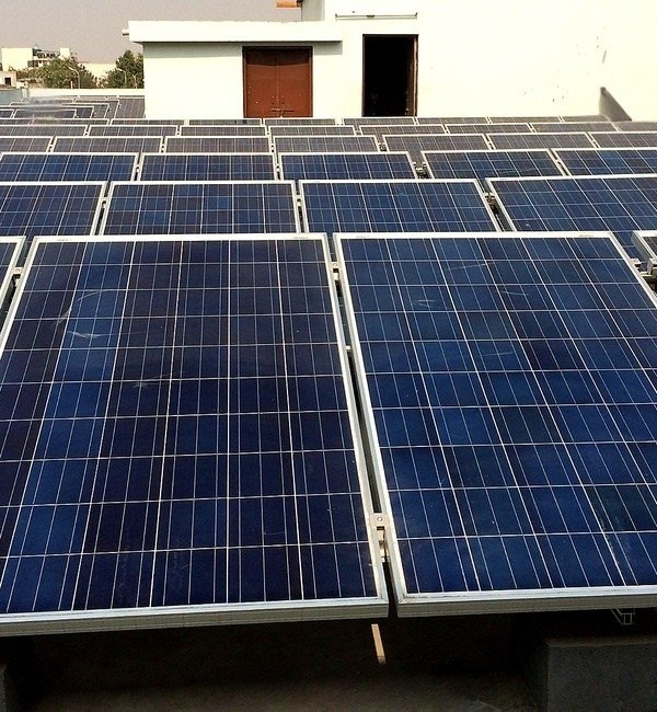 cupidatat nonproident, sunt in culpa qui officia deserunt